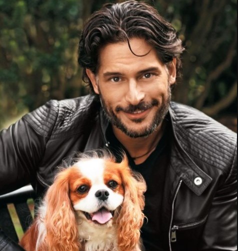 15 Celebrities Who Are Major Cavalier King Charles Spaniel Lovers 9