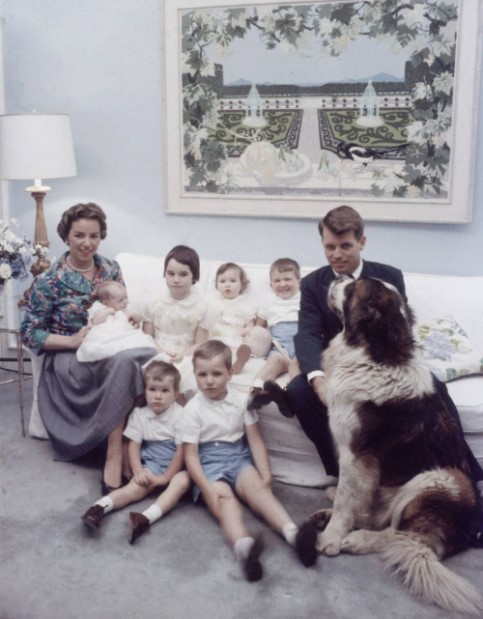 16 Celebrities Who Are Major St. Bernard Lovers 9