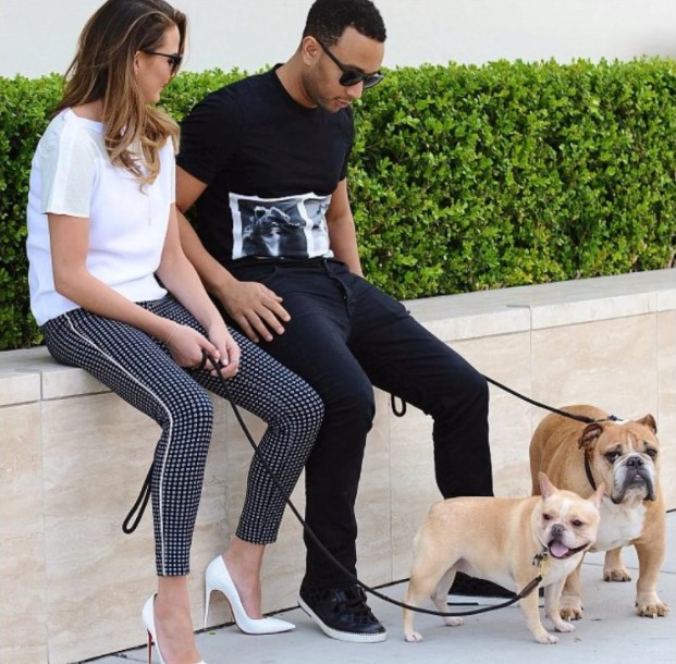 15 Celebrities Who Are Major English Bulldog Lovers 10