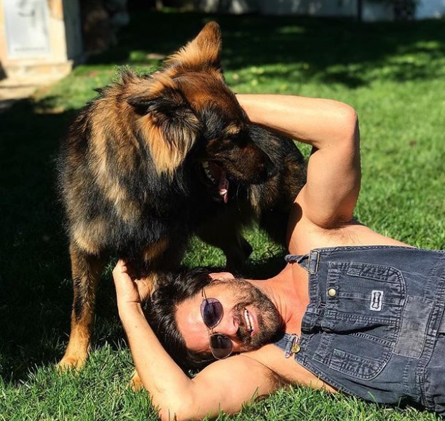 15 Celebrities Who Are Major German Shepherd Lovers 11