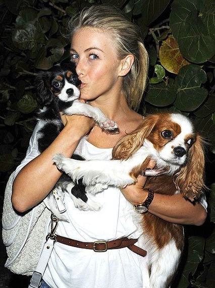 15 Celebrities Who Are Major Cavalier King Charles Spaniel Lovers 11