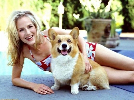 12 Celebrities Who Are Major Corgi Lovers 11