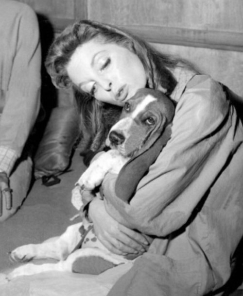 13 Celebrities Who Are Major Basset Hound Lovers 9