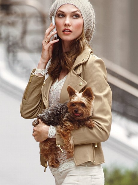15 Celebrities Who Are Major Yorkie Lovers 10