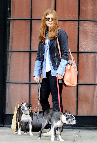 12 Celebrities Who Are Major Boston Terrier Lovers 10