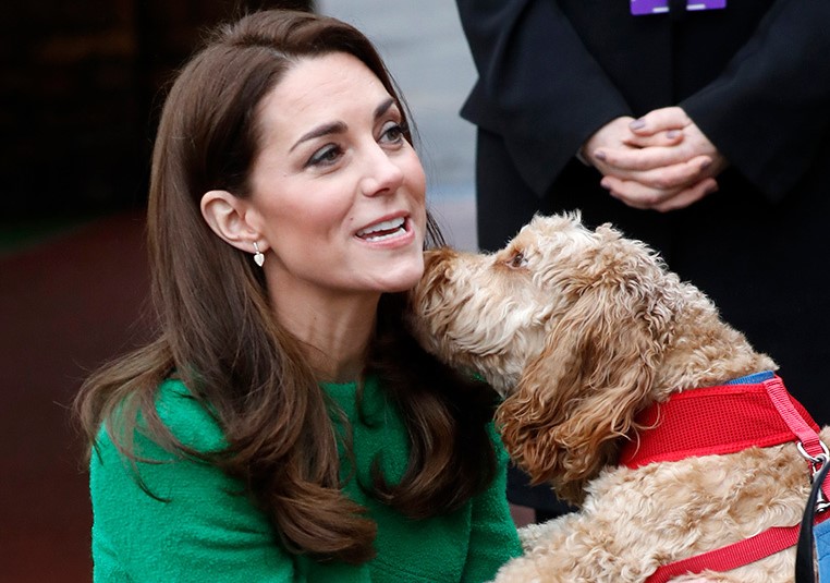 15 Celebrities Who Are Major Labradoodle Lovers 10