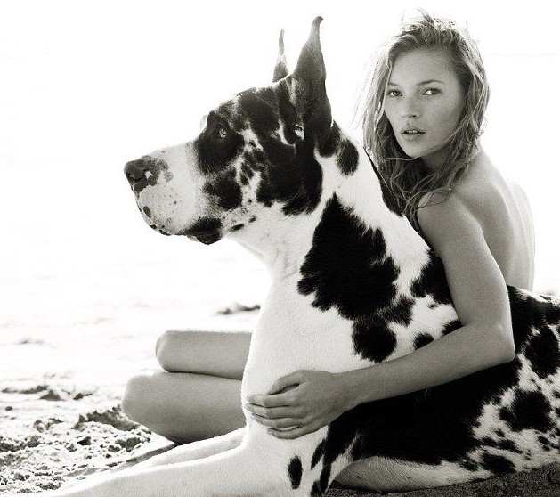15 Celebrities Who Are Major Great Dane Lovers 10