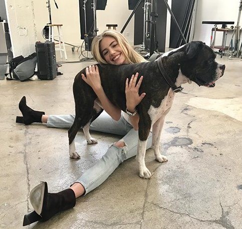 13 Celebrities Who Are Major Boxer Dog Lovers 37 13 Celebrities Who Are Major Boxer Dog Lovers 37