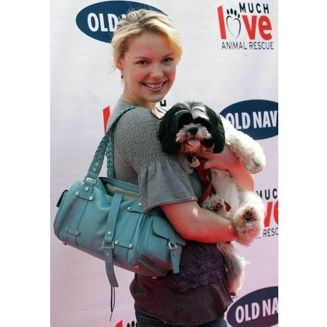 13 Celebrities Who Are Major Shih Tzu Lovers 10