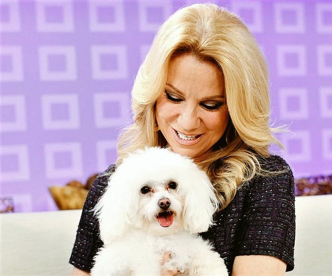 15 Celebrities Who Are Major Bichon Frise Lovers 11