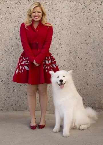 12 Celebrities Who Are Major Samoyed Lovers 9