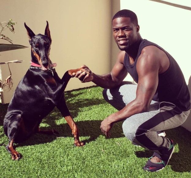 13 Celebrities Who Are Major Doberman Pinscher Lovers 10