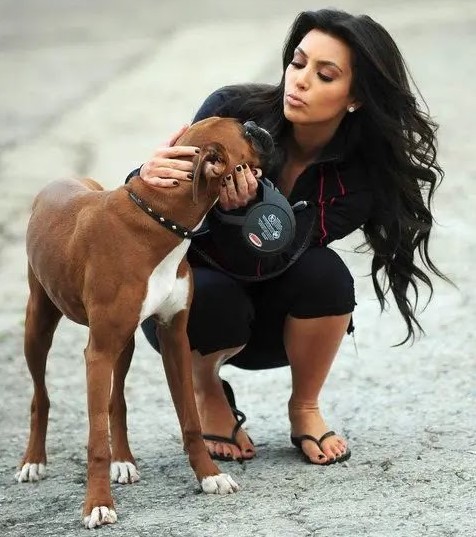 13 Celebrities Who Are Major Boxer Dog Lovers 38 13 Celebrities Who Are Major Boxer Dog Lovers 38
