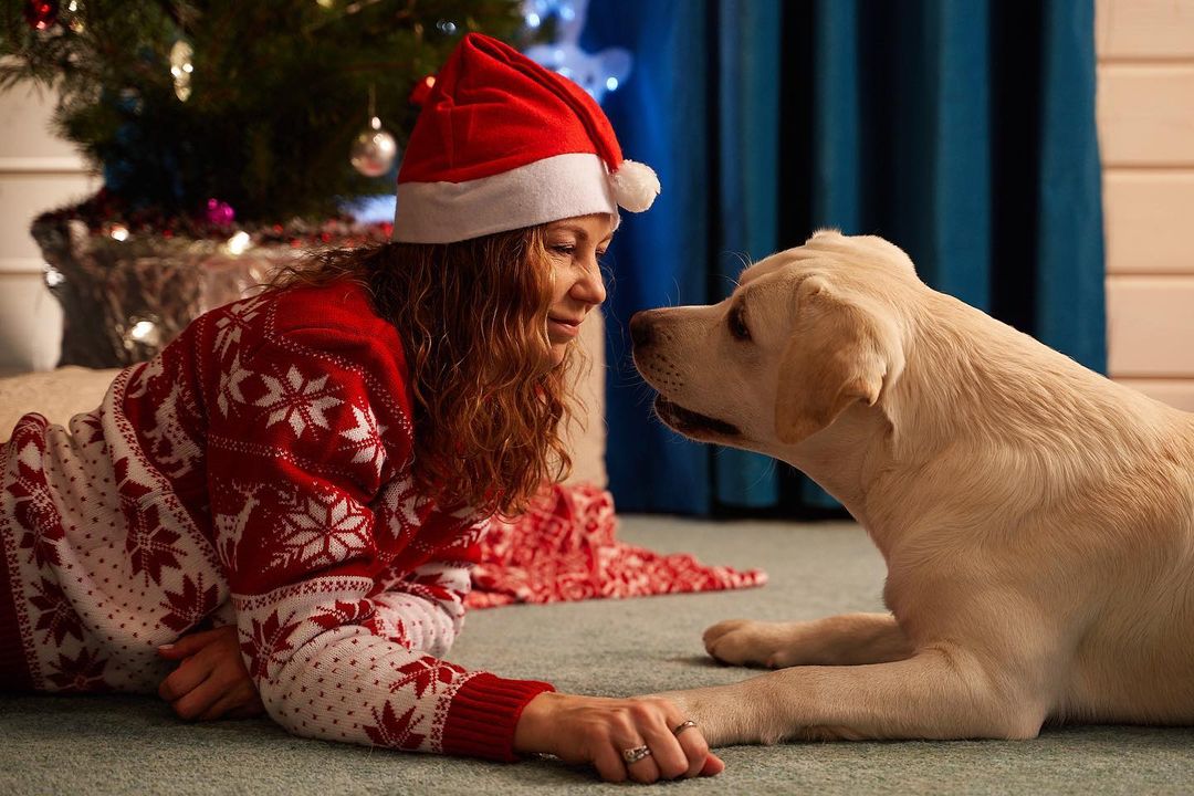 15 Interesting Facts About Labradors 41