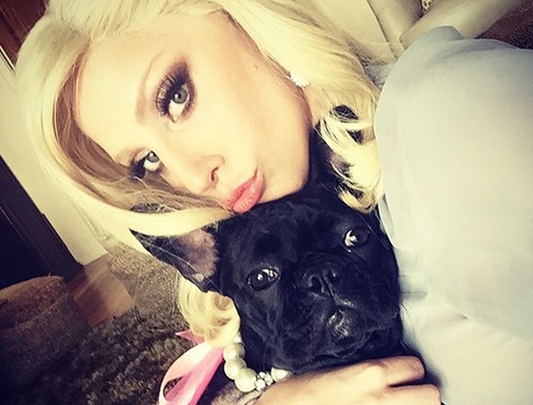 16 Celebrities Who Are Major French Bulldog Lovers 11