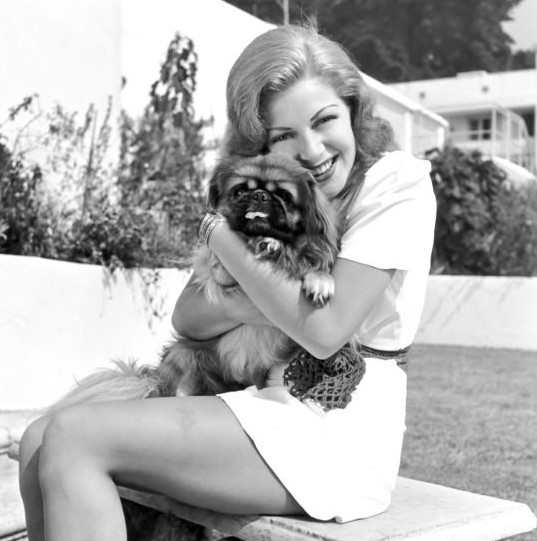 14 Celebrities Who Are Major Pekingese Lovers 9