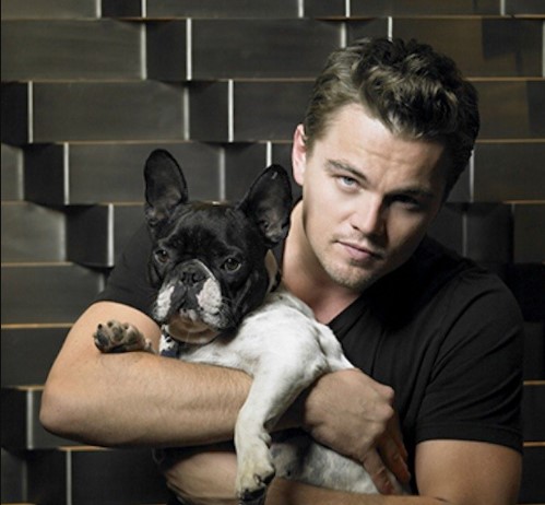 16 Celebrities Who Are Major French Bulldog Lovers 9