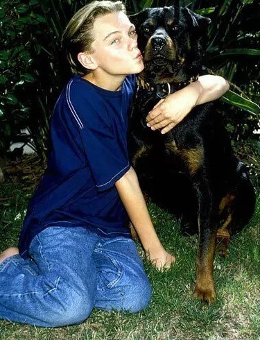 10 Celebrities Who Are Major Rottweiler Lovers 10