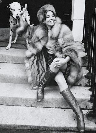 13 Celebrities Who Are Major Dalmatian Lovers 11