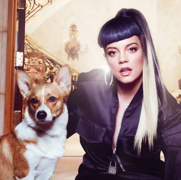 12 Celebrities Who Are Major Corgi Lovers 10