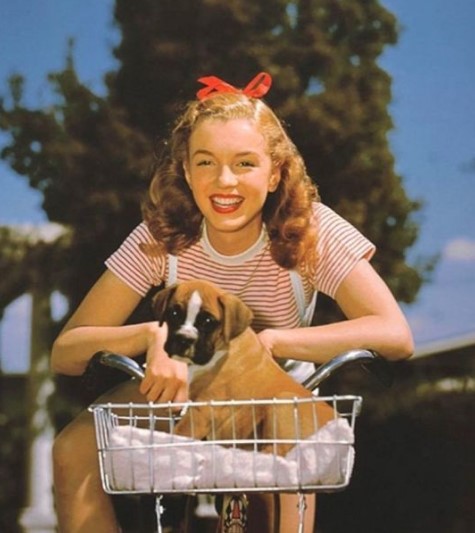 13 Celebrities Who Are Major Boxer Dog Lovers 39 13 Celebrities Who Are Major Boxer Dog Lovers 39