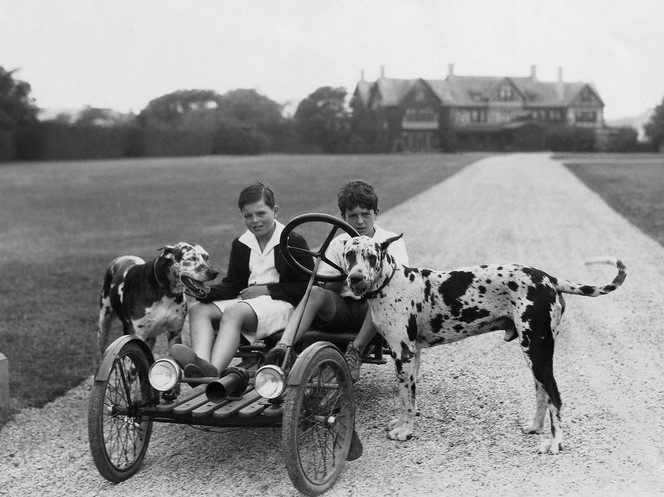 15 Celebrities Who Are Major Great Dane Lovers 11