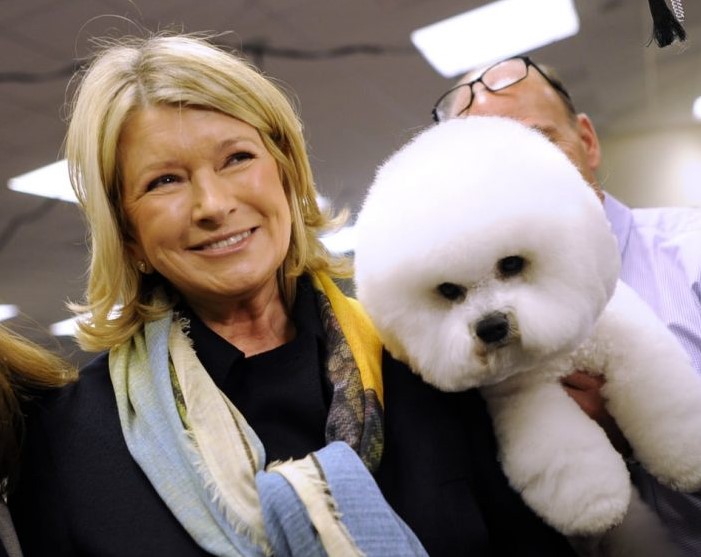 15 Celebrities Who Are Major Bichon Frise Lovers 11