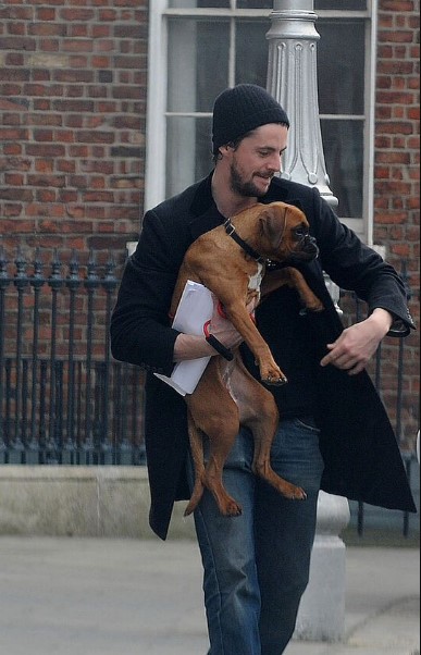 13 Celebrities Who Are Major Boxer Dog Lovers 40 13 Celebrities Who Are Major Boxer Dog Lovers 40