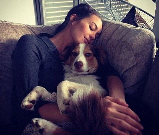 12 Celebrities Who Are Major Border Collie Lovers 11