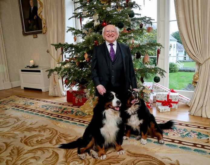 10 Celebrities Who Are Major Bernese Mountain Dog Lovers 11