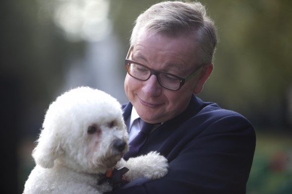 15 Celebrities Who Are Major Bichon Frise Lovers 9