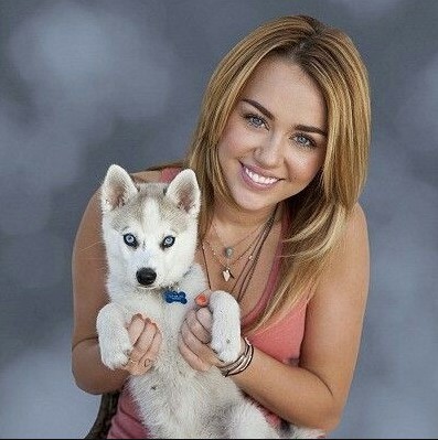 15 Celebrities Who Are Major Husky Lovers 10