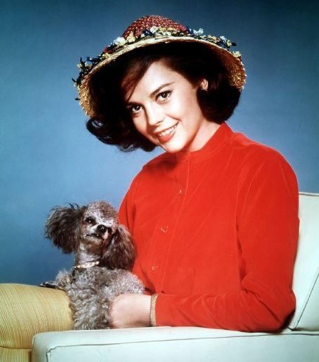 16 Celebrities Who Are Major Poodle Lovers 10