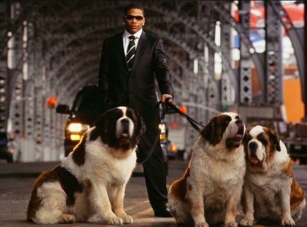 16 Celebrities Who Are Major St. Bernard Lovers 9