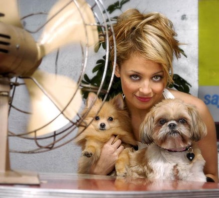 13 Celebrities Who Are Major Shih Tzu Lovers 11