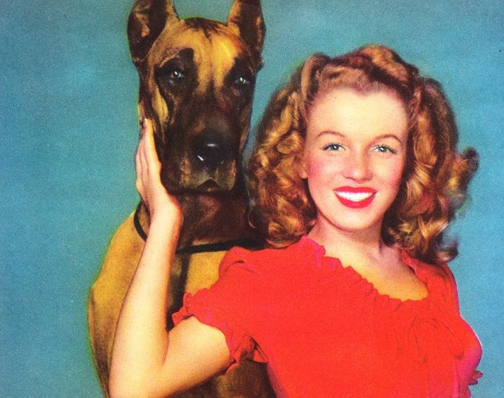 15 Celebrities Who Are Major Great Dane Lovers 9