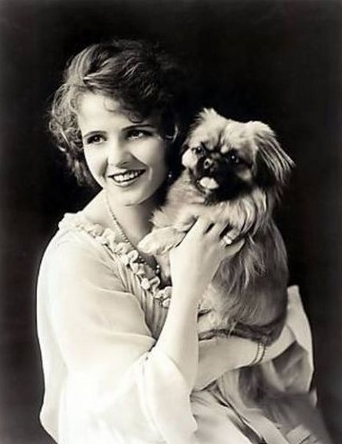 14 Celebrities Who Are Major Pekingese Lovers 11