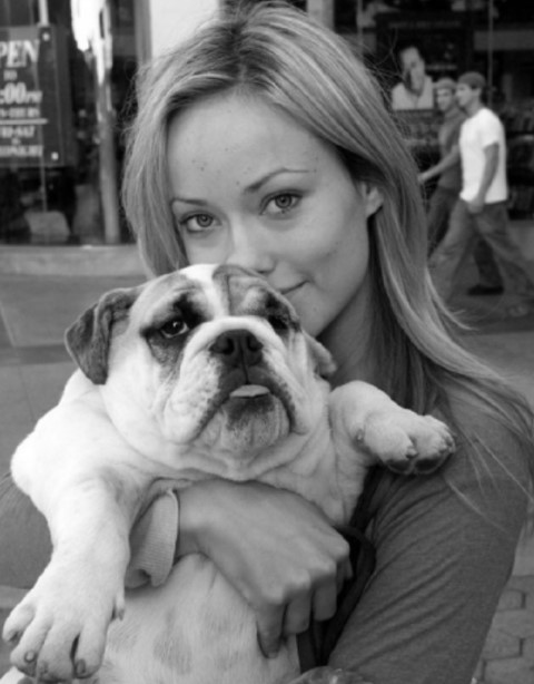 15 Celebrities Who Are Major English Bulldog Lovers 9