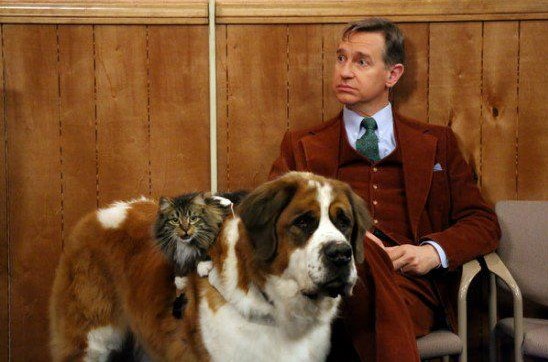 16 Celebrities Who Are Major St. Bernard Lovers 10