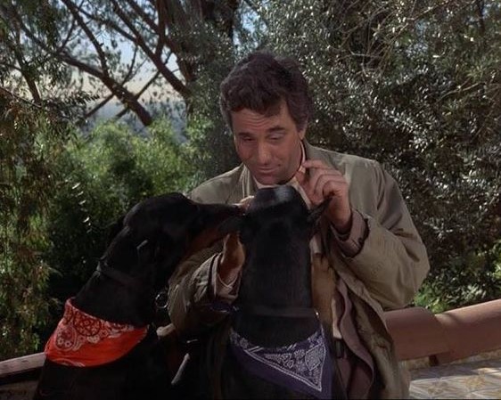 13 Celebrities Who Are Major Doberman Pinscher Lovers 9