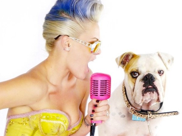 15 Celebrities Who Are Major English Bulldog Lovers 10