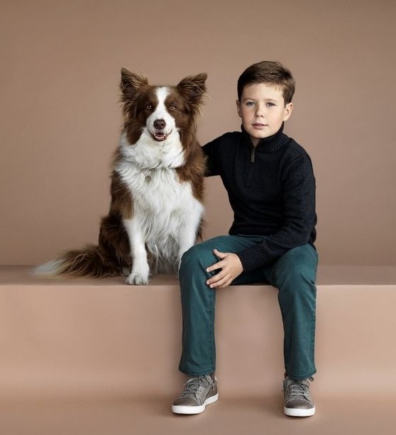 12 Celebrities Who Are Major Border Collie Lovers 9