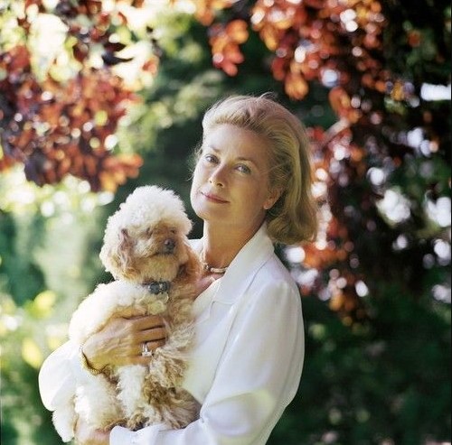 16 Celebrities Who Are Major Poodle Lovers 11