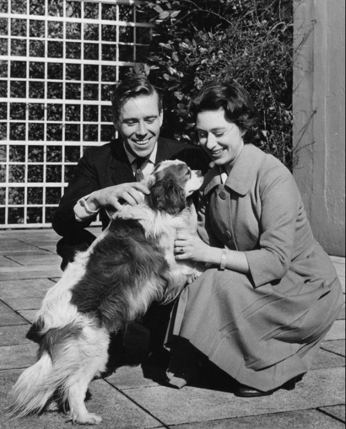 15 Celebrities Who Are Major Cavalier King Charles Spaniel Lovers 10