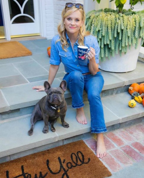 16 Celebrities Who Are Major French Bulldog Lovers 9