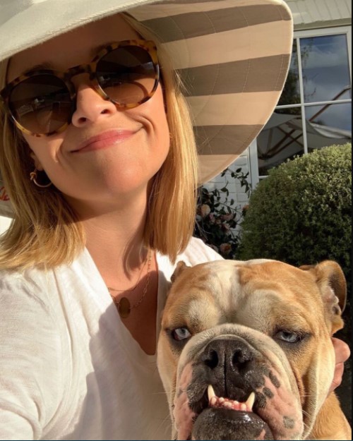 15 Celebrities Who Are Major English Bulldog Lovers 11
