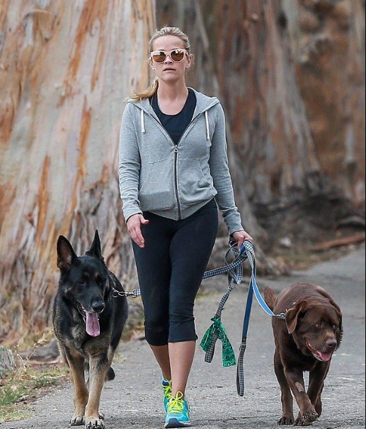 15 Celebrities Who Are Major German Shepherd Lovers 11