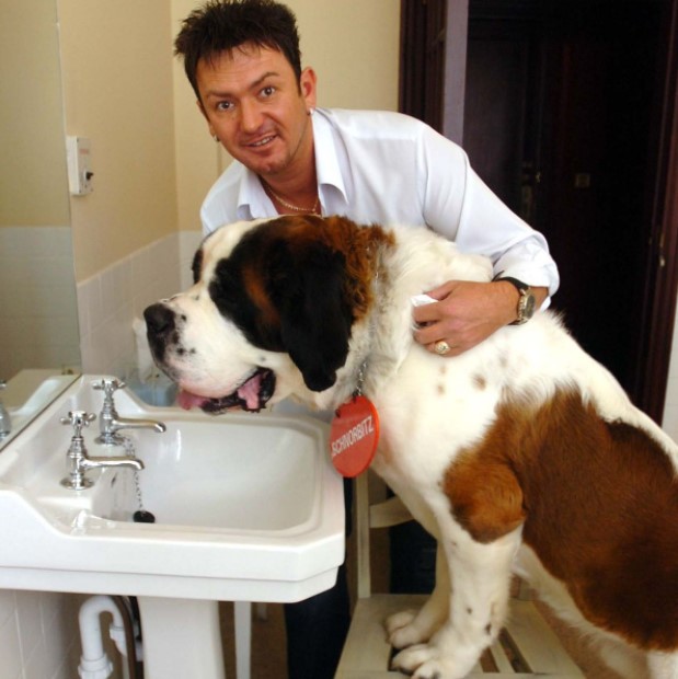 16 Celebrities Who Are Major St. Bernard Lovers 10
