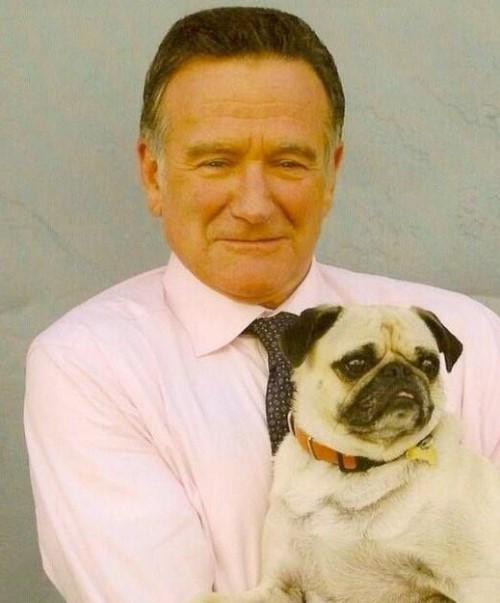 15 Celebrities Who Are Major Pug Lovers 44 15 Celebrities Who Are Major Pug Lovers 44