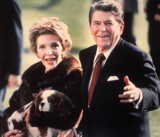 15 Celebrities Who Are Major Cavalier King Charles Spaniel Lovers 11